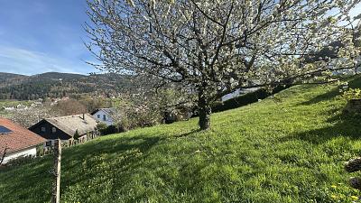 IDYLLE IN NATUR UND STADT - Grundstück Bühlertal | Angebot:27418380
