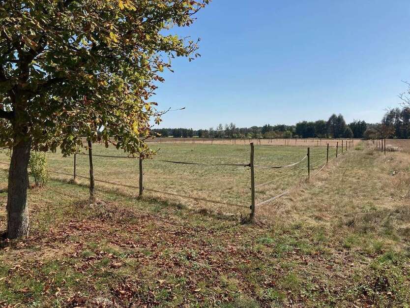 Grundstück in Am Mellensee,Gadsdorf 135.000 € 20290 m²