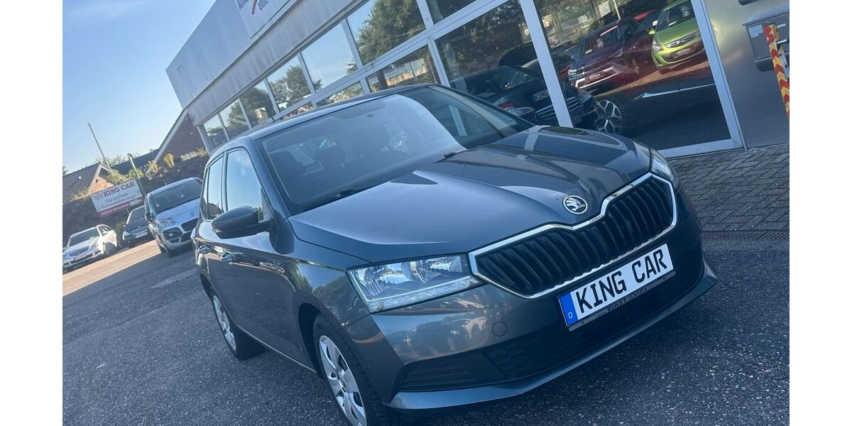 Skoda Fabia 125.000 km 7.900 &euro; Viersen 41749