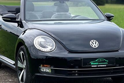 VW Beetle