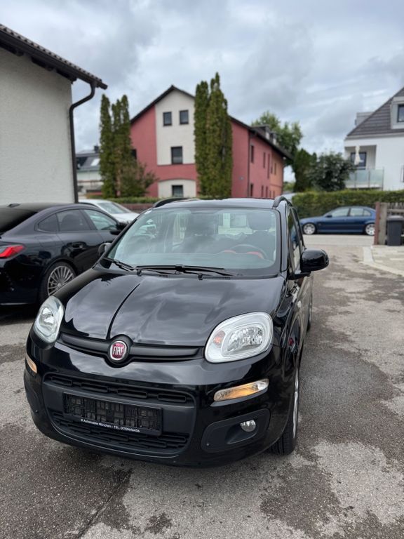 Panda