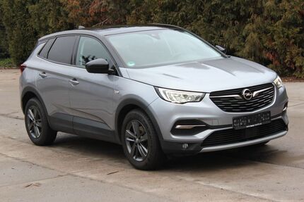 Opel Grandland (X) 121.000 km 11.000 &euro; Erlenbach a. Main 63906