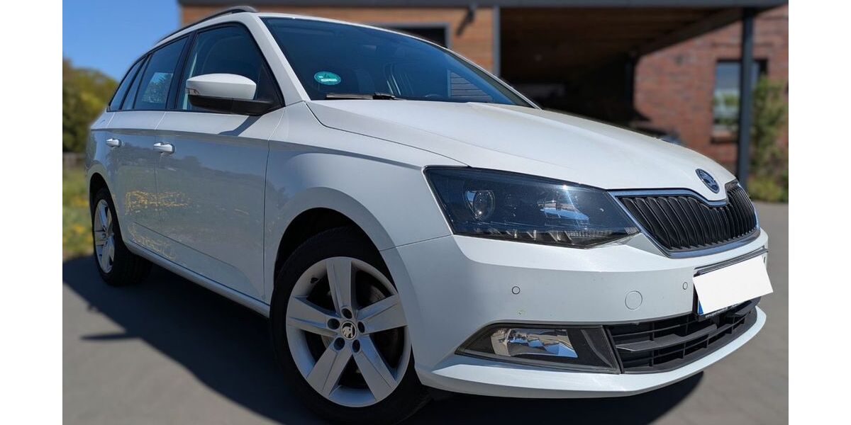 Skoda Fabia 59.950 km 12.490 &euro; Ahlerstedt 21702