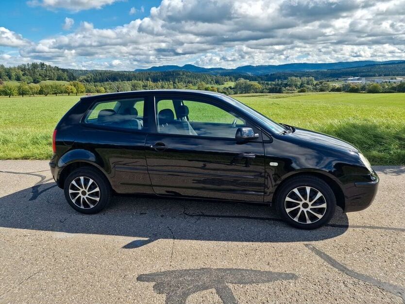 Polo
