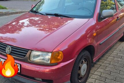 VW Polo