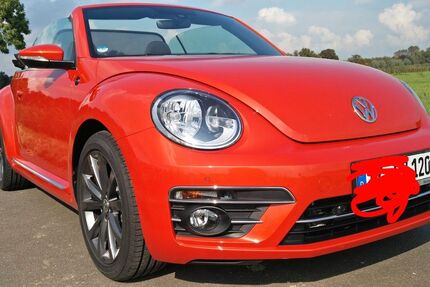 VW Beetle 115.000 km 16.666 € Neumünster 24536
