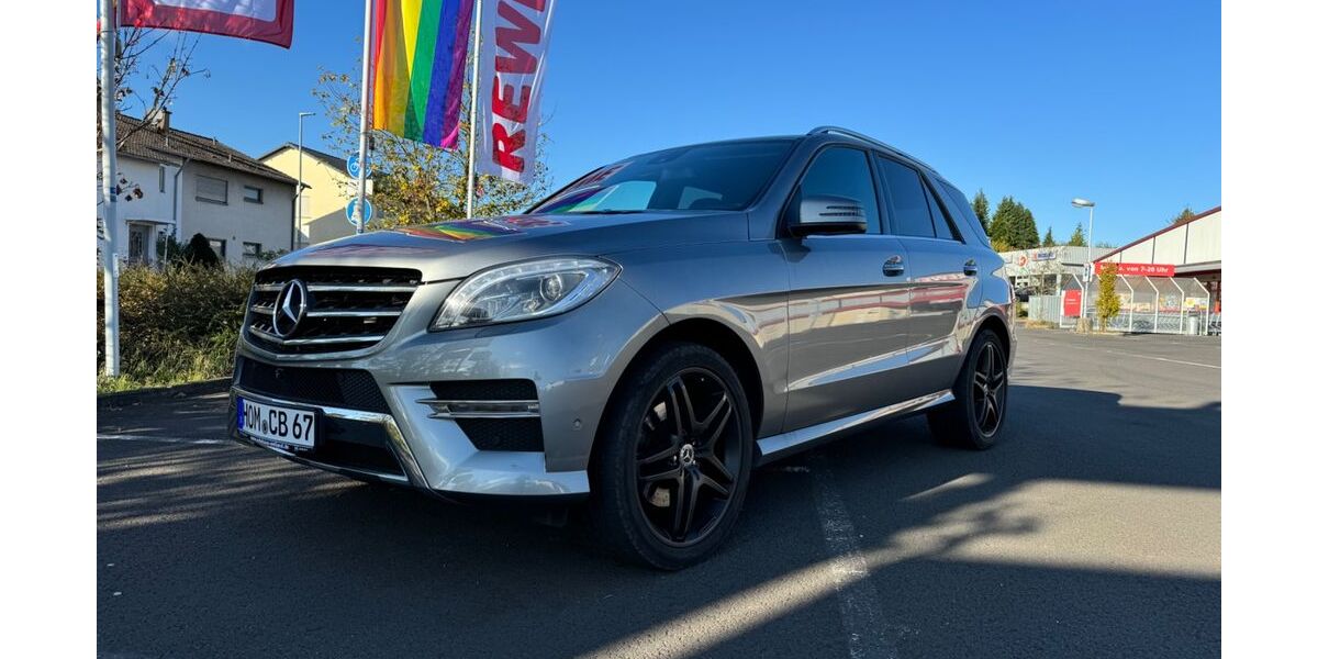 Mercedes-Benz ML 350 199.856 km 20.990 &euro; Bexbach 66450