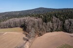 Attraktive Mischwaldgrundstücke mit viel Potenzial - Grundstück Chamerau / Bärndorf Bärndorf | Angebot:26531488
