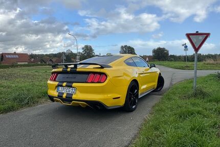 Ford Mustang 135.000 km 20.199 € Herford 32052