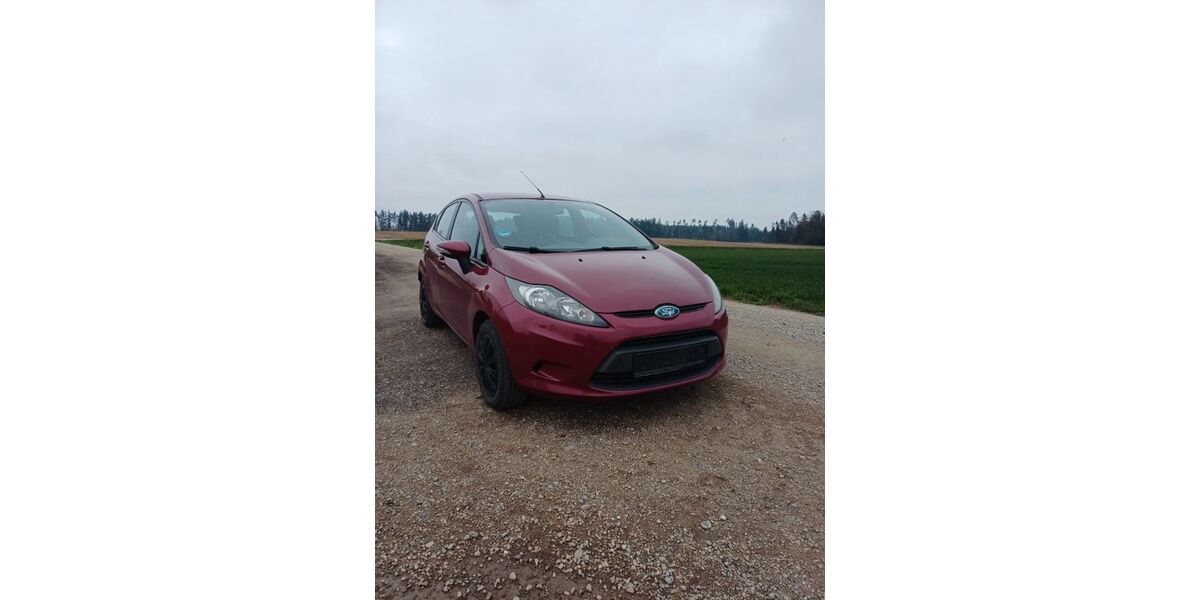 Ford Fiesta 171.410 km 4.200 &euro; Rottenburg a.d. Laaber 84056
