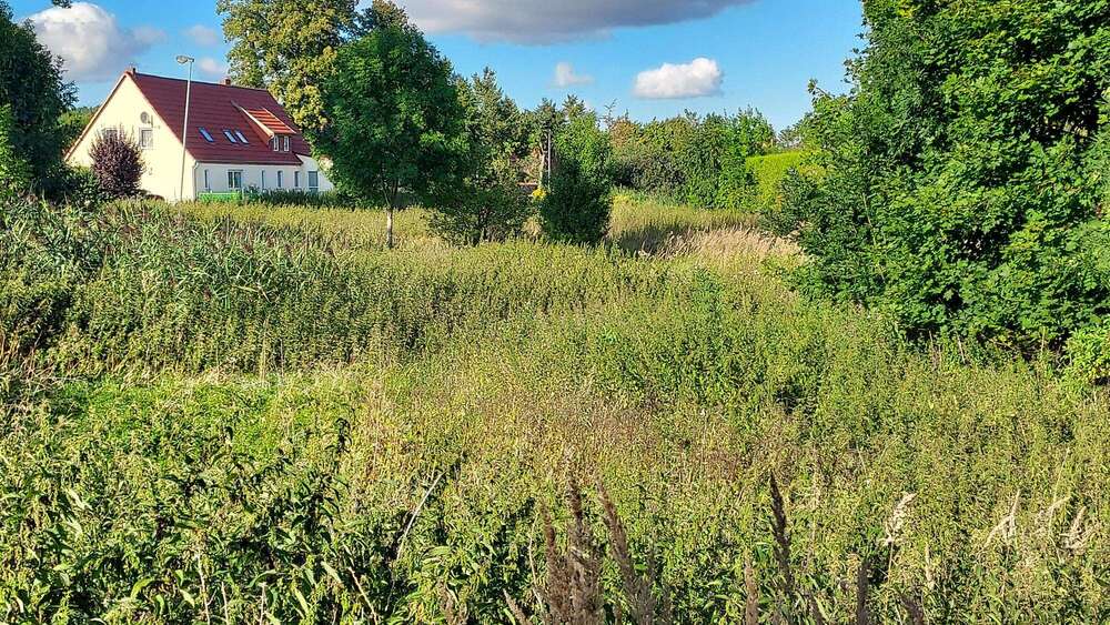 Grundstück Woldegk Canzow - 15.575&euro; | Angebot:22632050