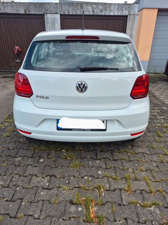 Polo