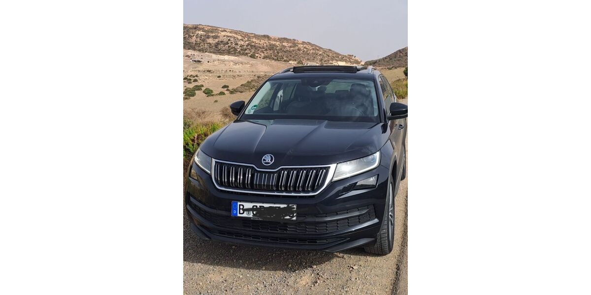 Skoda Kodiaq 185.000 km 22.500 &euro; Berlin 10409