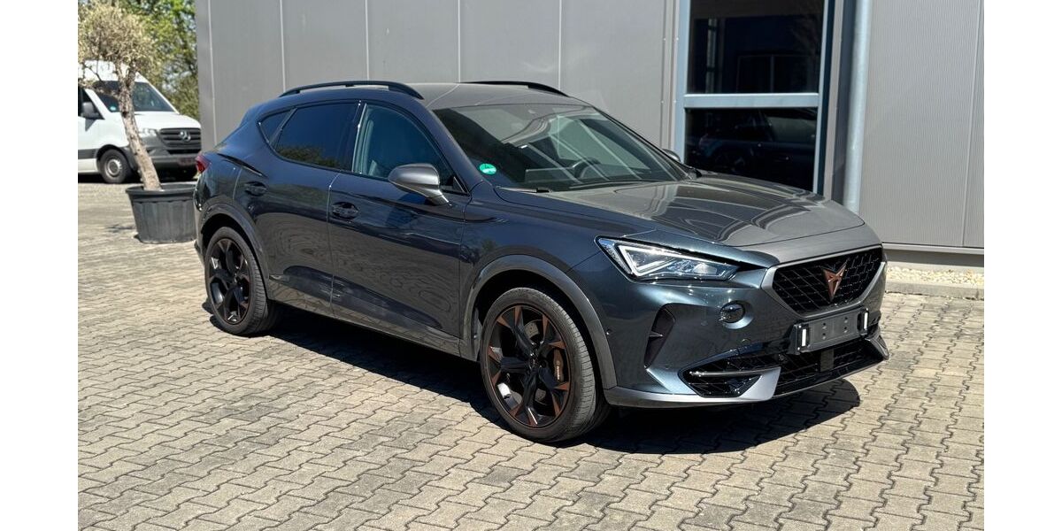 Cupra Formentor 55.400 km 25.949 &euro; Allershausen 85391