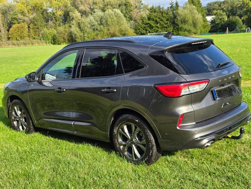 Kuga