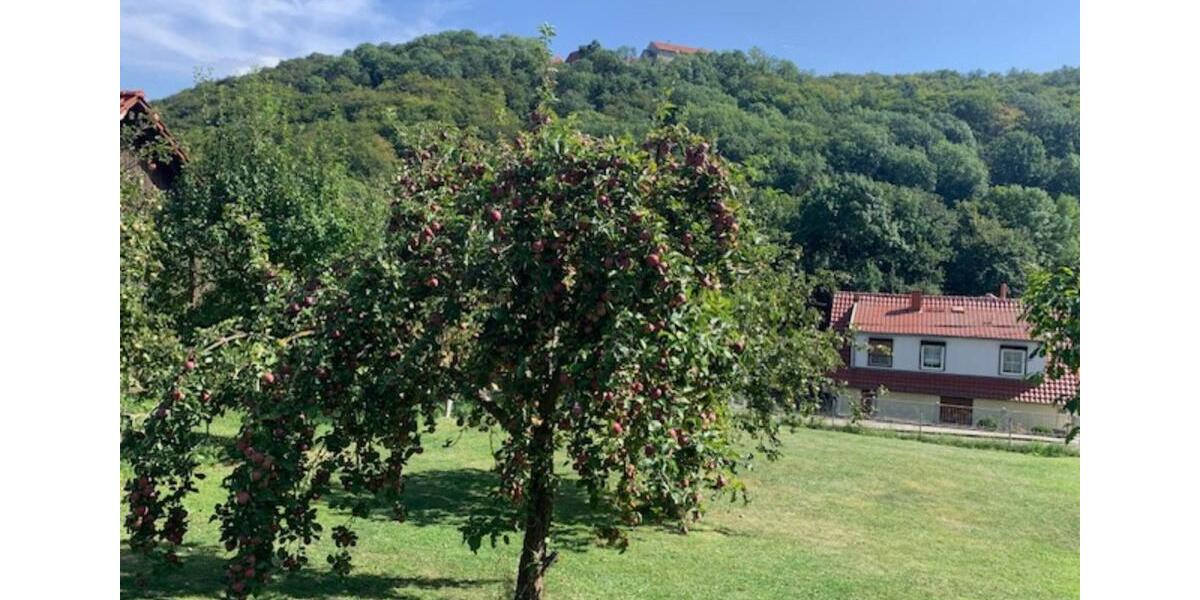 Grundstück Sollstedt - 43.000&euro; | Angebot:18896335