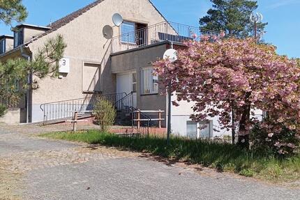 Haus Schönhausen (Elbe) - 10 Zimmer, 900 m&sup2;, 250.000&euro; | Angebot:24629720