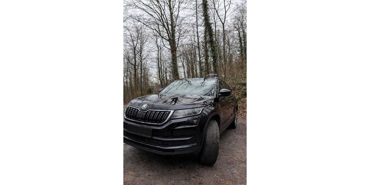 Skoda Kodiaq 107.400 km 28.500 &euro; Heidelberg 69126