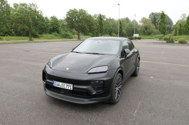 Macan