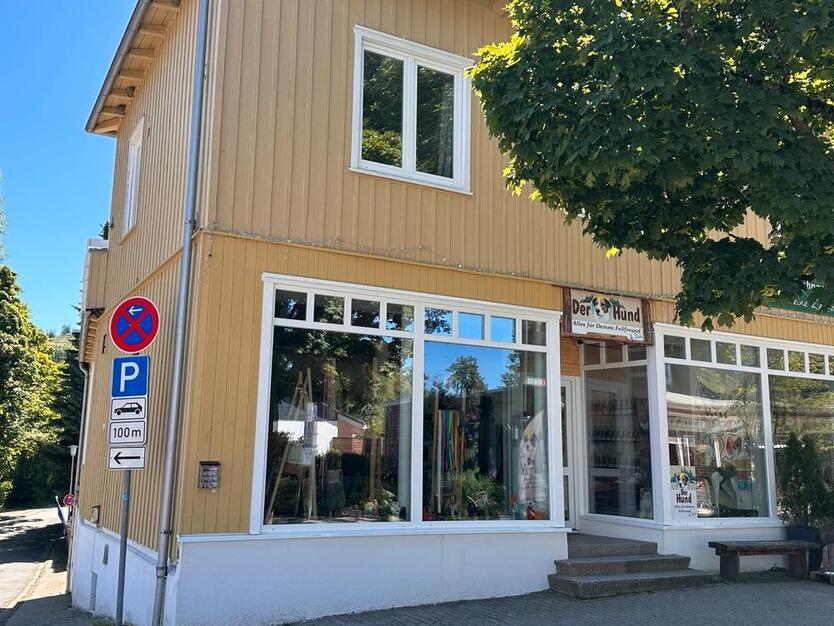 Wohn und Geschäftshaus in Hahnenklee mit 2 FerienWohnungen