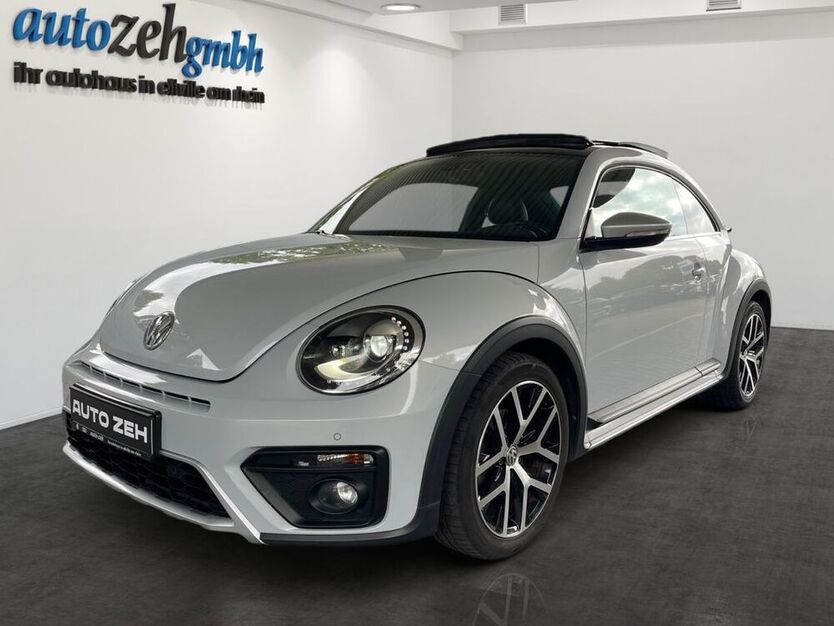 Beetle