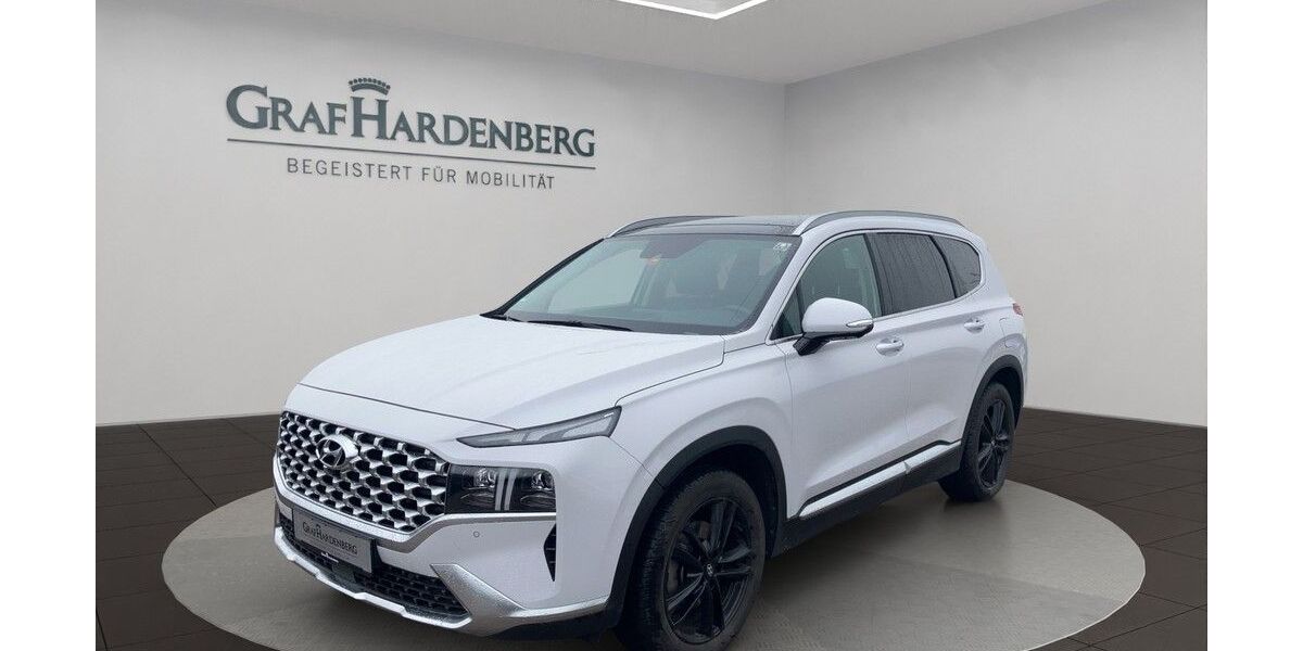 Hyundai SANTA FE 66.850 km 31.790 &euro; Landau 76829
