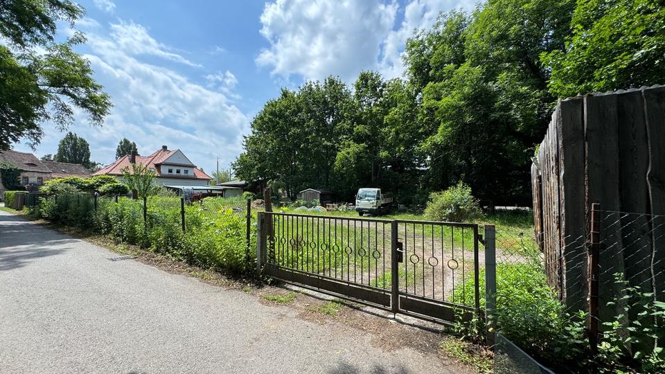 Frei Fläche zu vermieten in zentraler Lage von Radebeul zimmer