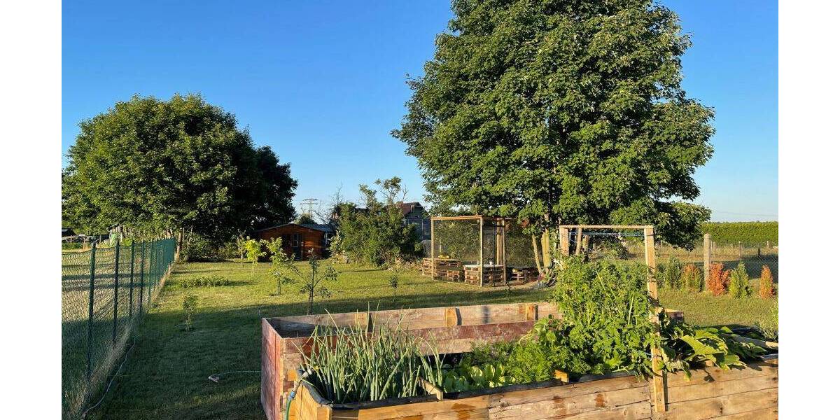 Grundstück Märkische Heide Groß Leine - 78.000&euro; | Angebot:23983701