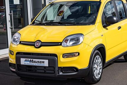 Fiat Panda 8.000 km 14.595 € Pohlheim 35415