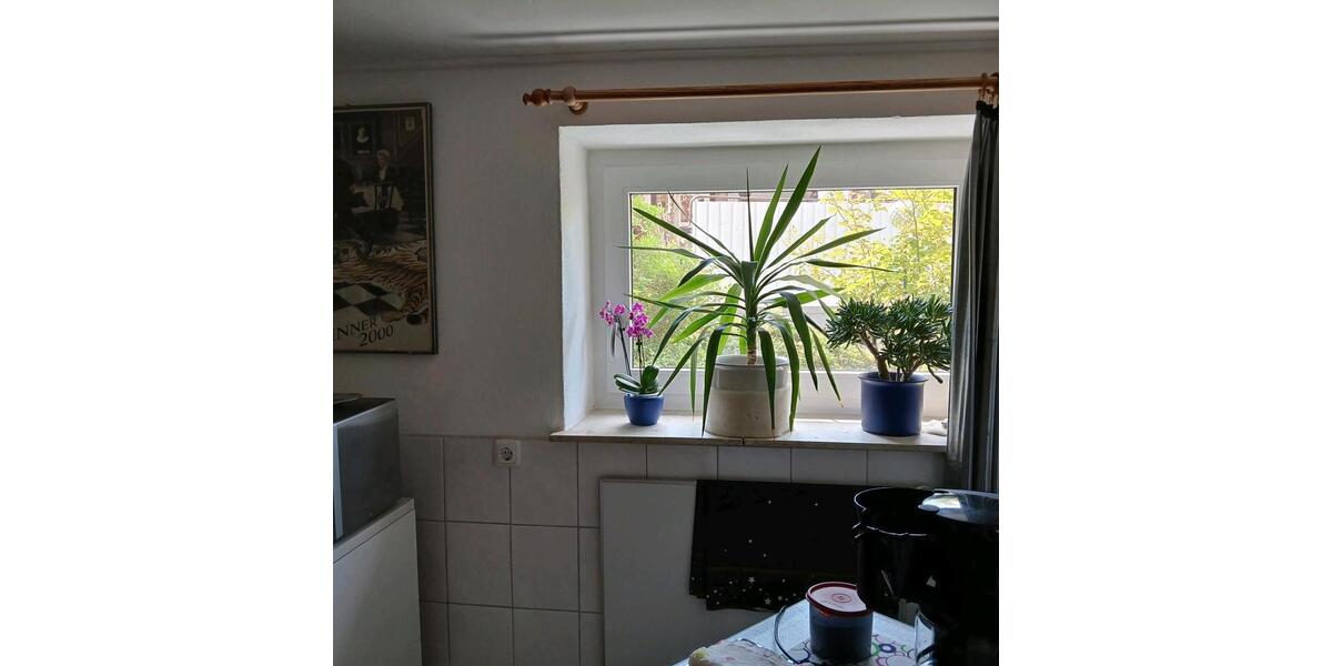 Doppelhaushälfte Vilshofen an der Donau - 3 Zimmer, 63 m&sup2;, 135.000&euro; | Angebot:26224324