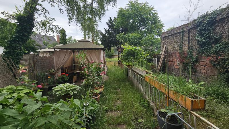 ObjNr:19699 - KAPITALANLAGE - MFH mit 4 Einheiten zentral in Frankenthal 8 zimmer