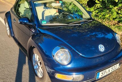 VW Beetle 196.000 km 1.950 &euro; Speyer 67346