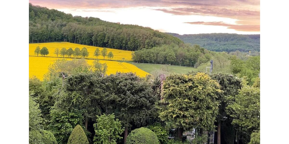 Villa Bad Driburg - 12 Zimmer, 430 m&sup2;, 698.000&euro; | Angebot:22989078