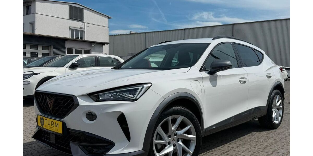 Cupra Formentor 18.618 km 22.990 &euro; Fulda 36043
