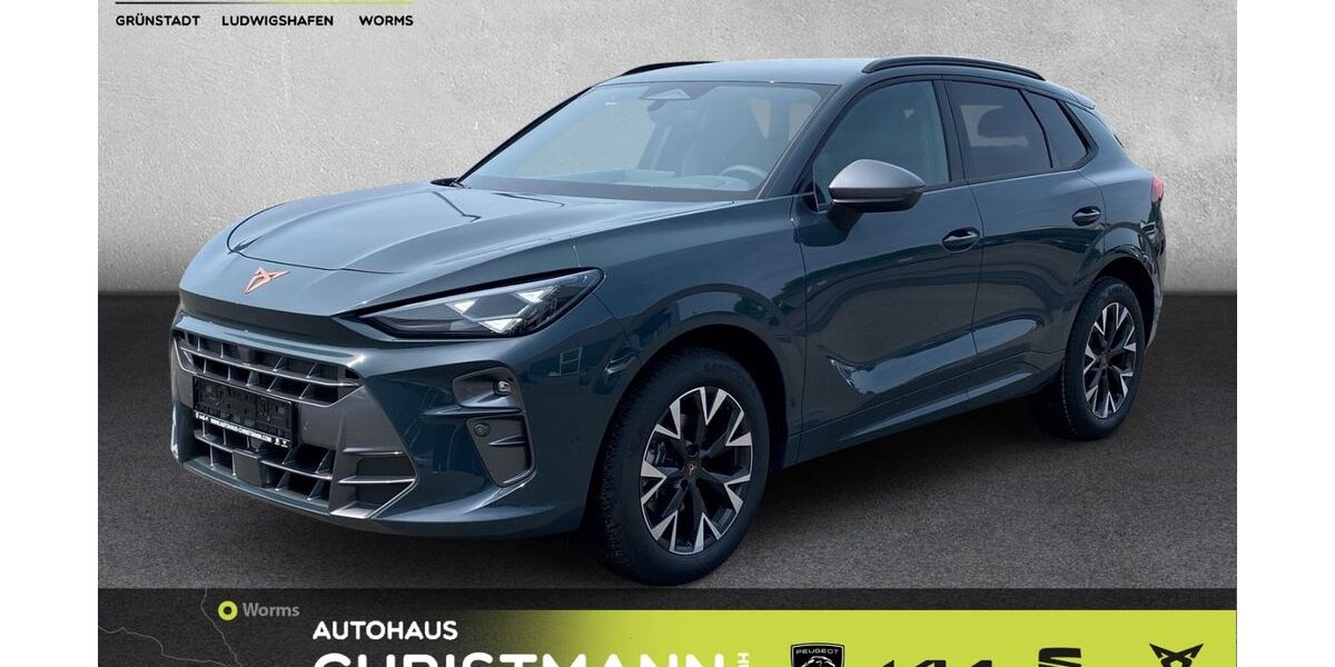 Cupra Terramar 13.000 km 41.390 &euro; Worms 67547