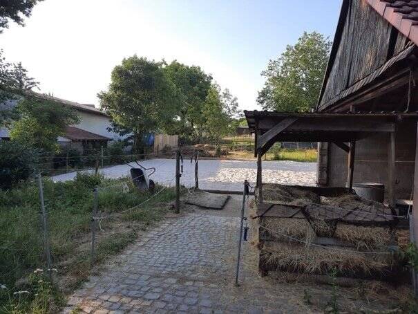 Bauernhaus, Landhaus Wächtersbach Leisenwald - 495.000&euro; | Angebot:25844886