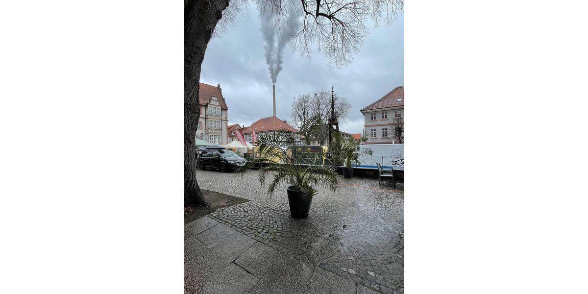 Gewerbeobjekt Alfeld (Leine) - 500&euro; | Angebot:26217686