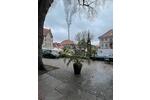 Gewerbeobjekt Alfeld (Leine) - 500&euro; | Angebot:26217686
