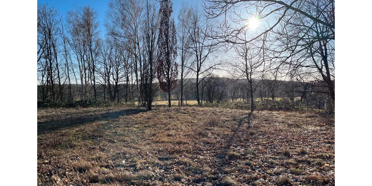 1054qm Bauland Grundstück Guben erschlossen Provisionsfrei Privat zimmer