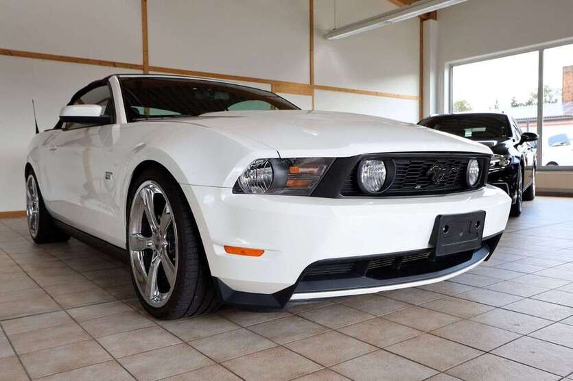 Mustang