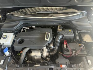 SsangYong Tivoli Black MT 2WD+Navi+Sitzhzg.+Kamera+Garantie+ 5 km 25.330 € Meerbusch 40667