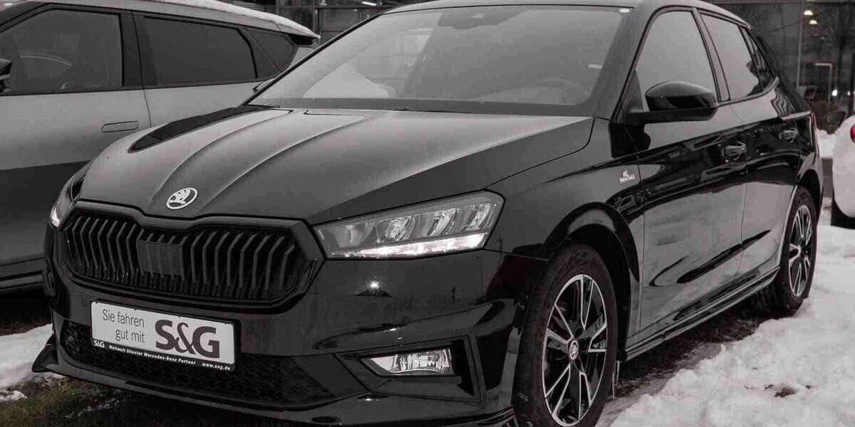 Skoda Fabia 18.020 km 20.277 &euro; Sangerhausen 06526