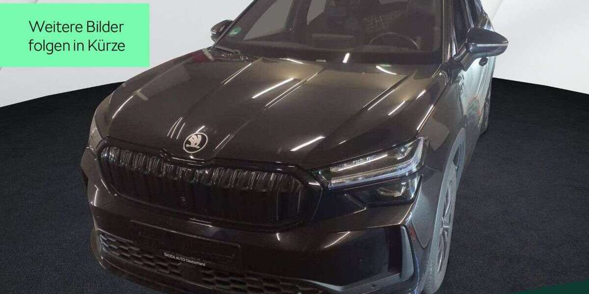 Skoda Kodiaq 19.400 km 47.999 &euro; Mühlheim a. Main 63165