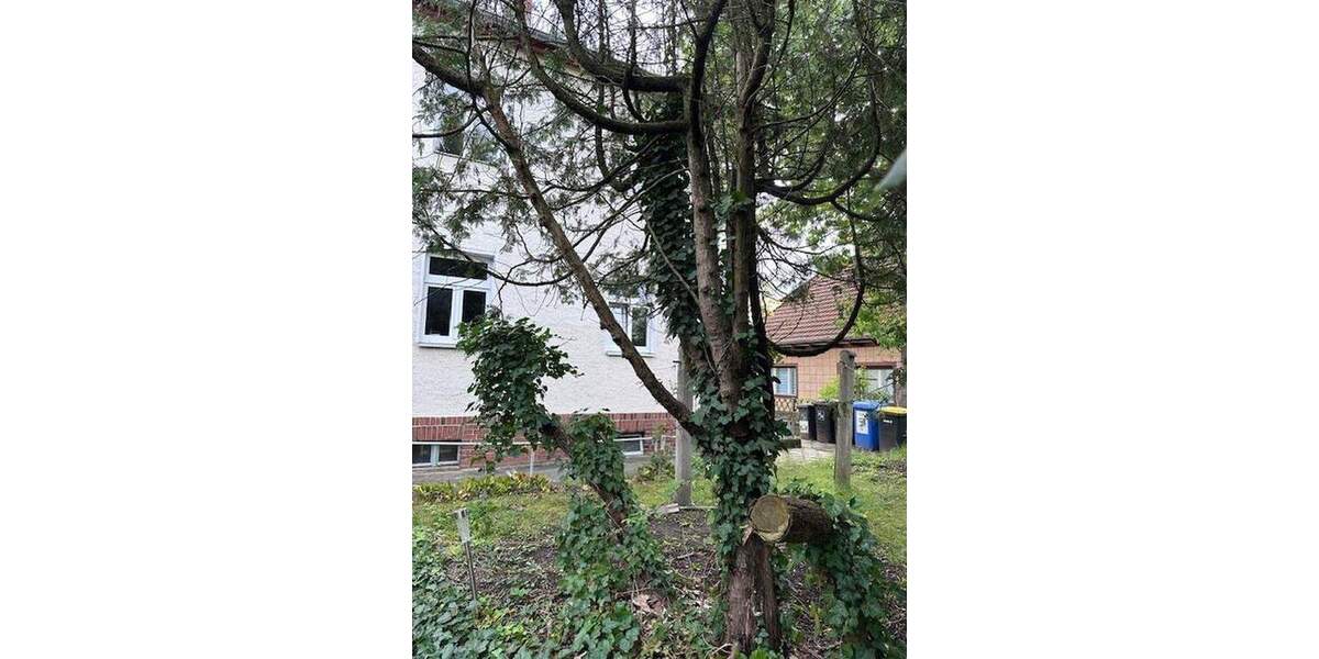 Ausbaufähiges kleines Mehrfamilienhaus mit Baulandreserve in verkehrsgünstiger Mahlsdorf Lage zimmer