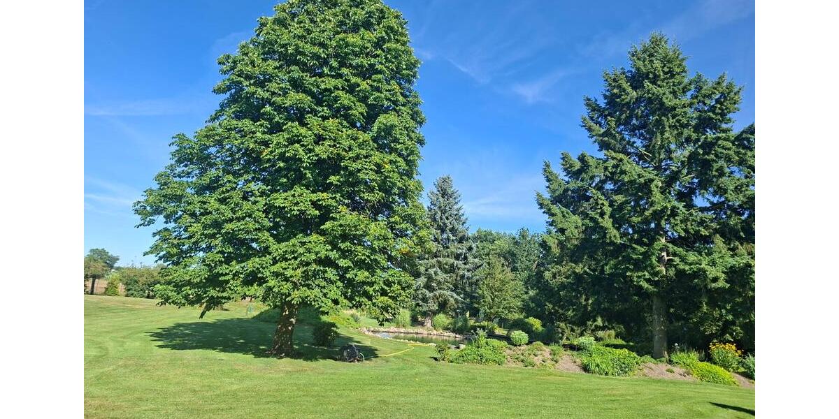 Mehrfamilienhaus, Wohnhaus Schwarmstedt - 7 Zimmer, 200 m&sup2;, 695.000&euro; | Angebot:27025399