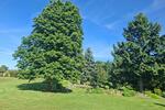 Mehrfamilienhaus, Wohnhaus Schwarmstedt - 7 Zimmer, 200 m&sup2;, 695.000&euro; | Angebot:27025399