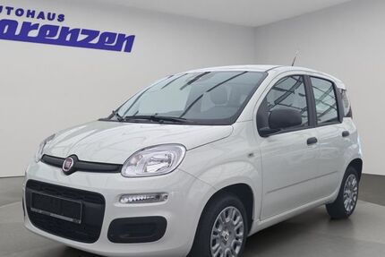 Fiat Panda 1.750 km 12.980 &euro; Flensburg 24941