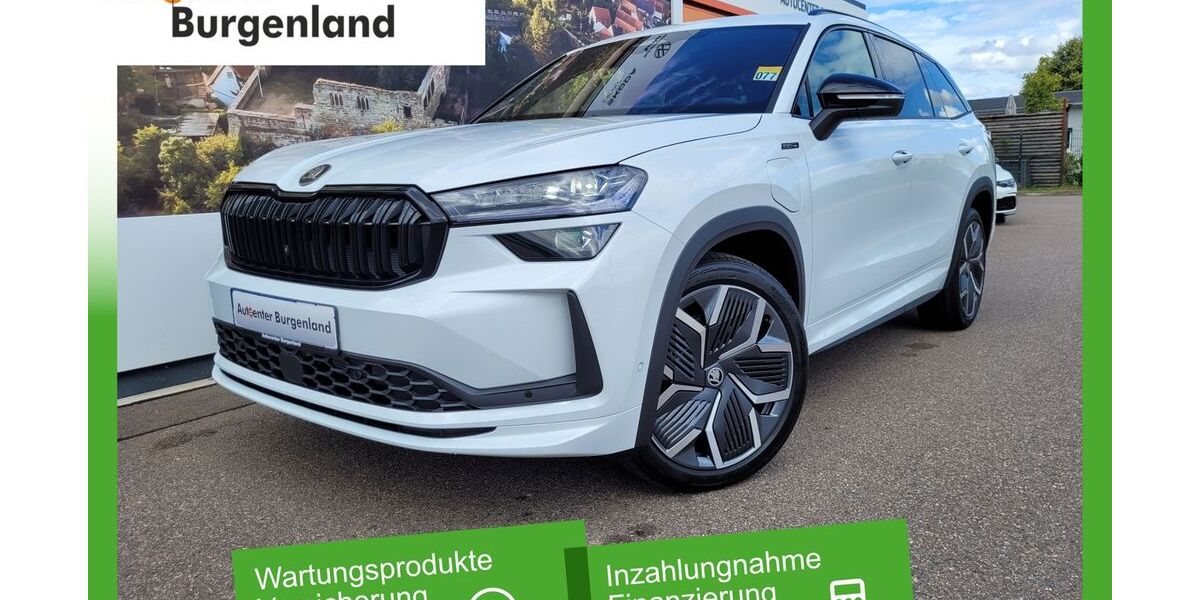 Skoda Kodiaq 10.627 km 52.990 &euro; Schönburg 06618