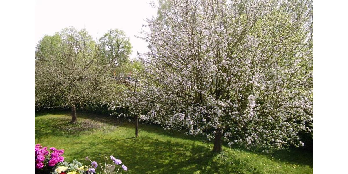 Etagenwohnung Pocking - 1 Zimmer, 35 m&sup2;, 113.000&euro; | Angebot:24804074