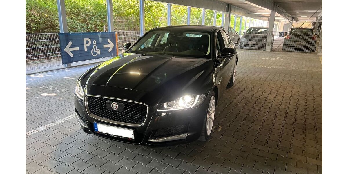 Jaguar XF 45.000 km 20.000 &euro; Hirschau 92242